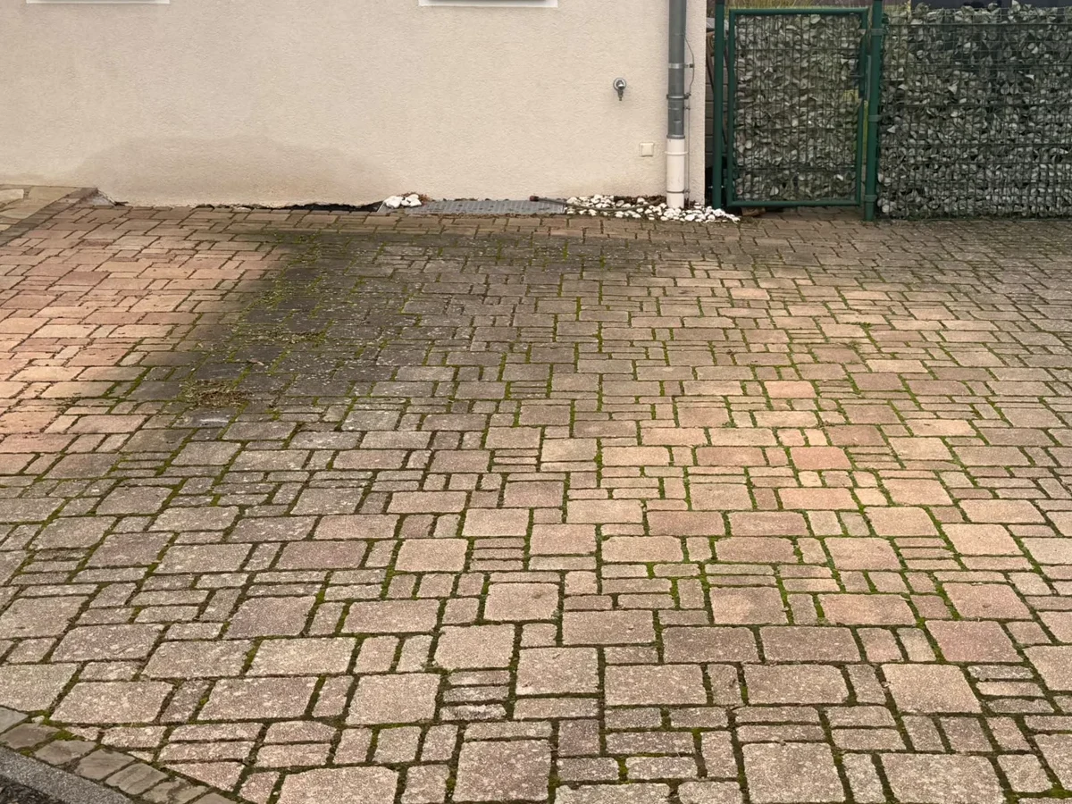 Vermooste Hofeinfahrt vor der Reinigung